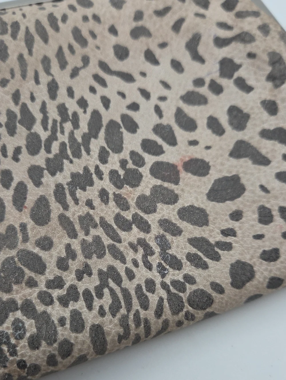 HOBO Lauren Clutch in Cheetah